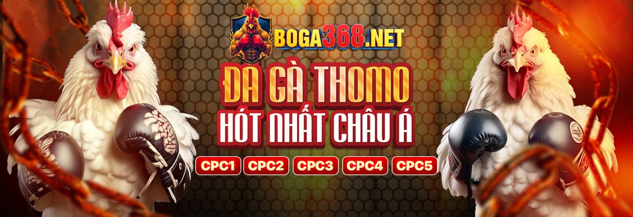 Biểu tượng gà Wala đại diện cho đội khách trong cá cược đá gà.