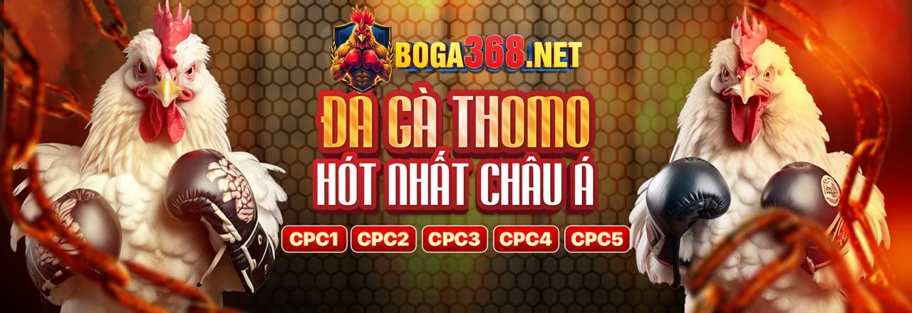 Biểu tượng gà Wala đại diện cho đội khách trong cá cược đá gà.