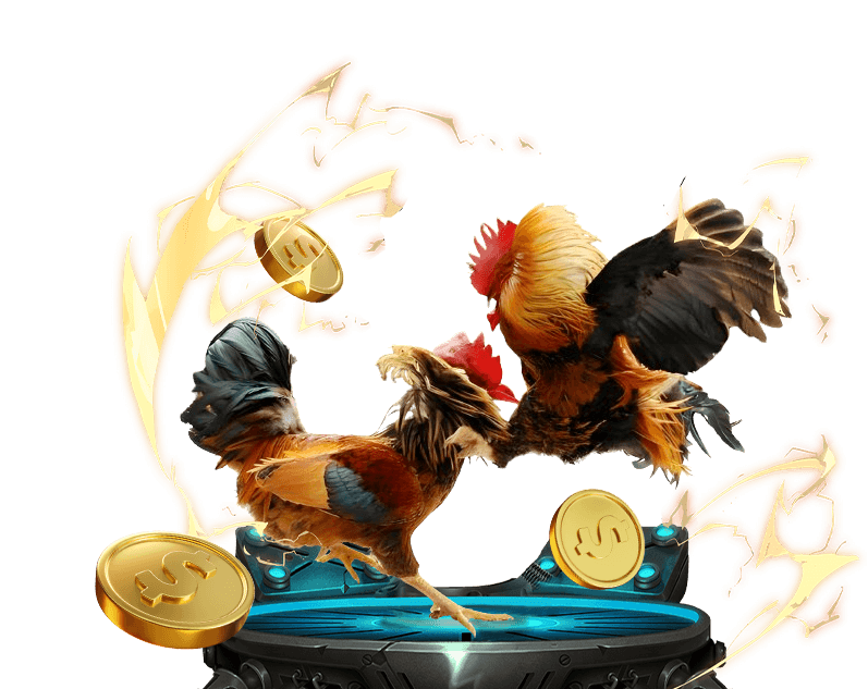 Trò chơi đá gà trực tiếp 9win